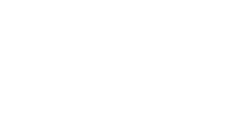Other forms of doing art Artists can approach their place in society in many ways, but two strategies are especially common. When artists take the commercial path, they create works that are expected to be bought and sold in the market. When they take the institutional option, the main results are projects tailored to a particular player in the art world (for example, a museum’s external program). We believe that there are other ways to produce art in society that are worth pursuing. Our organisation aims to find ways to self-manage the making of art without depending solely on commodity-based circuits and traditional institutions. We will do so through an annual production program that contributes to its context in the Netherlands, Europe, and the global art-world. 
